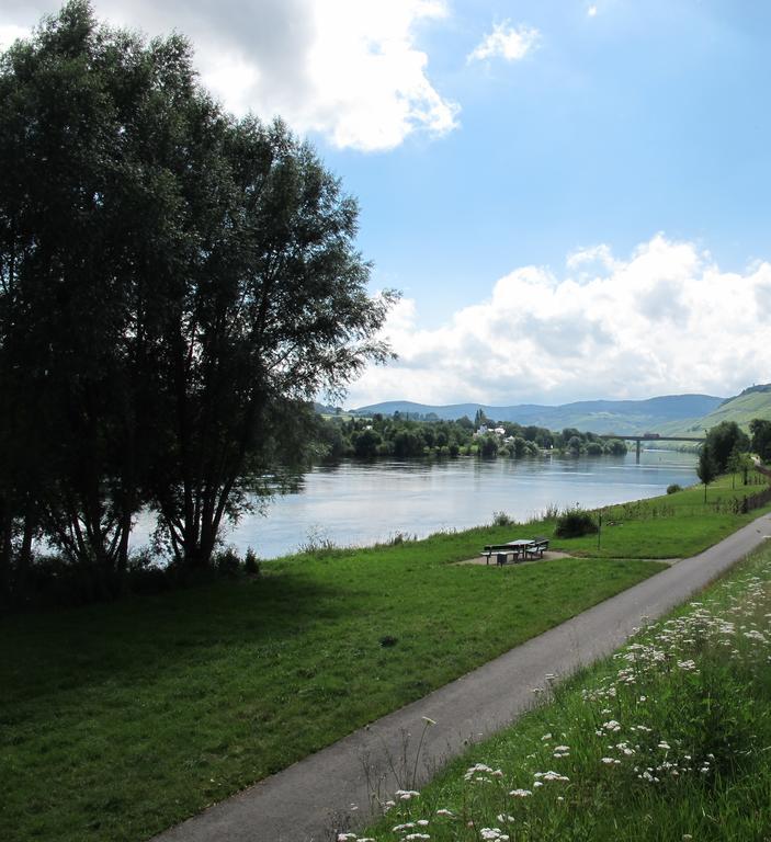 Mosel - River - Quartier 31 Hotel Lieser Exterior foto