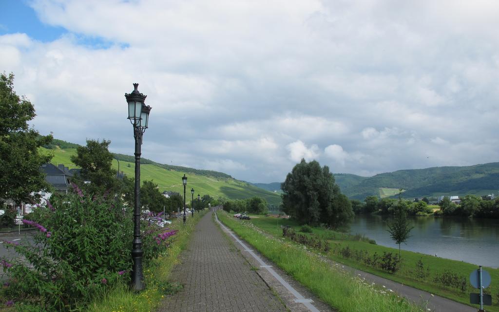 Mosel - River - Quartier 31 Hotel Lieser Exterior foto